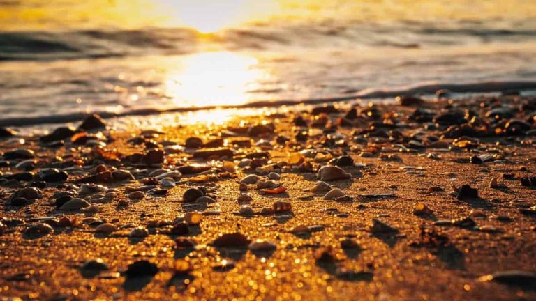 amber on the beach in liepaja at sunset and a cultural event as part of ECoC 2027